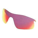 Oakley 101-119-007 Radarlock Prizm Road Линзы  Multicolor Prizm Road/CAT2