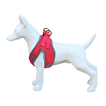 Freedog 10072020 Soft Обуздать Красный  Fuchsia 20-35 cm