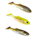 Molix RTS55BKP-578 RT Shad Мягкая приманка 140 mm 24 единицы Золотистый 578