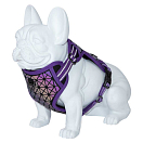 Купить Freedog 10462014 Boreal Обуздать  Lilac 20 mm x 38-75 cm 7ft.ru в интернет магазине Семь Футов