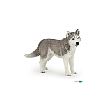 Papo 905054035 Сибирский Husky Фигура Бежевый