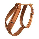 Kentucky 42640-45-L Active Бархатный ремень  Orange 38-58 cm