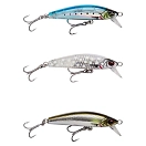 Купить Savage gear 1634822-UNIT Minnow Gravity Sinking 12g 60 mm Серебристый Sayoris Photo Print 7ft.ru в интернет магазине Семь Футов