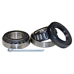 Dexter marine 641-81125 комплект подшипников Grey 18x11x8 31.75 mm