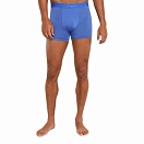 Купить Icebreaker 0A571V01US трусы-боксёры Merino 125 Cool-Lite Anatomica Brilliant S 7ft.ru в интернет магазине Семь Футов
