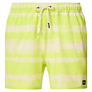 Купить Oakley FOA405398-09U-XXL Плавки Blur Stripes RC 16´´  Blurred Stripe Light Green 2XL 7ft.ru в интернет магазине Семь Футов