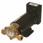 Groco 34-SPO60R12V Vane Reversible Насос 12V 15A Черный