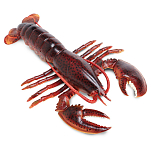 Safari ltd S281629 Maine Lobster Фигура Красный  Red From 3 Years 