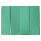 Купить Trespass UUACTVB20017-GNX-OS Folda Foldable Mat Матрас  Green X 7ft.ru в интернет магазине Семь Футов