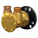 Купить Johnson pump 189-1316502 F95B-9 Насос с рабочим колесом OEM Золотистый 7ft.ru в интернет магазине Семь Футов