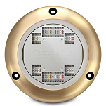 Ocean led NLS-173 S3166S Sport Colours Свет Золотистый Black