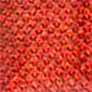 Купить Stonfo S513/10rs Adhesive 3D Smal Piel Pez Кино  Red 7ft.ru в интернет магазине Семь Футов