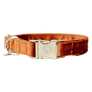 Купить Kentucky 42538-45-L Бархатный воротник  Orange 42-68 cm 7ft.ru в интернет магазине Семь Футов