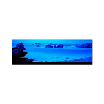 Постер Остров Уэссан "Quessant" Филиппа Плиссона Art Boat/OE P33x95QueRMC 33х95см в коричневой рамке с веревкой