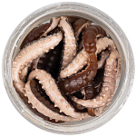 Berkley 1546776 Powerbait Honey Worm Мягкая приманка 25 Mm Золотистый Grey Pearl