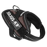 Julius k-9 16IDC-CS-B1 IDC® Power Baby Обуздать Черный Chocolate Baby 1