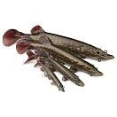 Купить Fox rage NRE508-UNIT Мягкий приманка Ultra-Realistic Pike Replicant 30g 150 mm 7ft.ru в интернет магазине Семь Футов