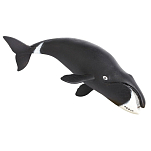 Safari ltd S205529 Bowhead Whale Фигура Черный  Black From 3 Years 