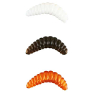 Купить Nomura NM78007802 Honey Worm Maggot 20 Mm 0.35g Многоцветный 078 7ft.ru в интернет магазине Семь Футов