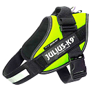Купить Julius k-9 14867 IDC Обуздать Зеленый  Neon Green XL-2  7ft.ru в интернет магазине Семь Футов