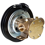 Jabsco 50080-2001 Бронзовый крыльчатый насос, на ножном креплении, размер 080, 12В сцепление, шкив 2А, 1