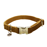 Kentucky 42538-44-S Бархатный воротник  Mustard 28-40 cm