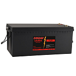 Zasdar BLF-25 Lifepo4 48V 100Ah аккумулятор Черный Black