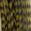 Купить Baetis 91302134/BA Colgadera Перо Многоцветный  Grizzly Dyed Olive 7ft.ru в интернет магазине Семь Футов