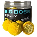 Купить Tactica baits ri11-unit Hookbaits The big boss Ripley 200ml 20x10x10 20 mm 7ft.ru в интернет магазине Семь Футов