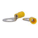 Купить Oem marine KLAUB650/8E Глаз Terminal 50 единицы Золотистый Yellow 8 mm 7ft.ru в интернет магазине Семь Футов