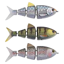 Купить SPRO 000001-00000-01117-00 Fast Sinking Приманка для плавания 100 mm 28g Золотистый Bl Bk Herring 7ft.ru в интернет магазине Семь Футов
