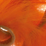 Baetis EPN012/VE Заячьи уши перо Оранжевый  Orange