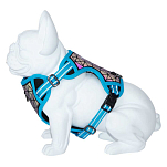 Freedog 10462009 Boreal Обуздать  Capri Blue 20 mm x 38-75 cm