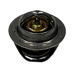 Fischer panda NRR-3100 FPE-320 Термостат  Black