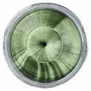 Купить Berkley 1570716 PowerBait® Trout Bait Spices Oregano Вставить Зеленый Green 7ft.ru в интернет магазине Семь Футов