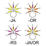 Garbolino GOTAE0100-3JA/OR Streamline Stix Пробки Серебристый Multicolour 3 x 12 mm