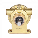 Насос морской воды / Импеллерный насос для Farymann & Fischer Panda