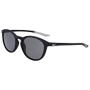Купить Nike NKDZ7363-5119010 поляризованные солнцезащитные очки Evolution P Dz7363 Бесцветный Matte Black Polarized Grey/CAT3 7ft.ru в интернет магазине Семь Футов
