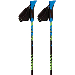 Viking 650/22/5190/15/UNI столбы Ruten Pro  Blue / Lime