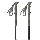 Купить Pinguin 8592638809152-OneSize Carbon FL Foam Поляки Серый  Carbon / Blue 7ft.ru в интернет магазине Семь Футов