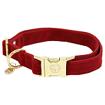 Kentucky 42533-13-M Вельветовый воротник  Red 36-52 cm
