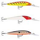 Купить Rapala RA5819125 Down Deep Пескарь 120 мм 15 г Многоцветный GPP 7ft.ru в интернет магазине Семь Футов