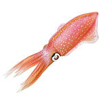 Safari ltd S266229 Reef Squid Фигура Оранжевый  Pink From 3 Years 