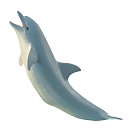 Купить Safari ltd S275329 Dolphin Sea Life Фигура Голубой  Grey From 3 Years  7ft.ru в интернет магазине Семь Футов