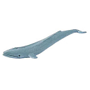 Купить Safari ltd S345922 Blue Whales Good Luck Minis Фигура Голубой Grey From 3 Years  7ft.ru в интернет магазине Семь Футов
