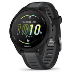 Garmin 010-02863-20 Часы Forerunner 165 Черный  Black / Slate Gray