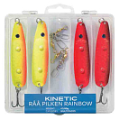 Купить Kinetic E146-022-162 Råå Pilken Rainbow Ложка Многоцветный Multicolour 7ft.ru в интернет магазине Семь Футов