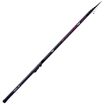 Sele 251004 Болонская удочка Competition Серебристый Black 4.00 m