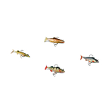 Storm 19STWLKIT5 Wildeye Live Kit 1 Sinking Многоцветный 80 100 mm (15-20 g) 