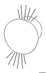 ROUND built-in courtesy blue light up/downward, Osculati 13.188.23